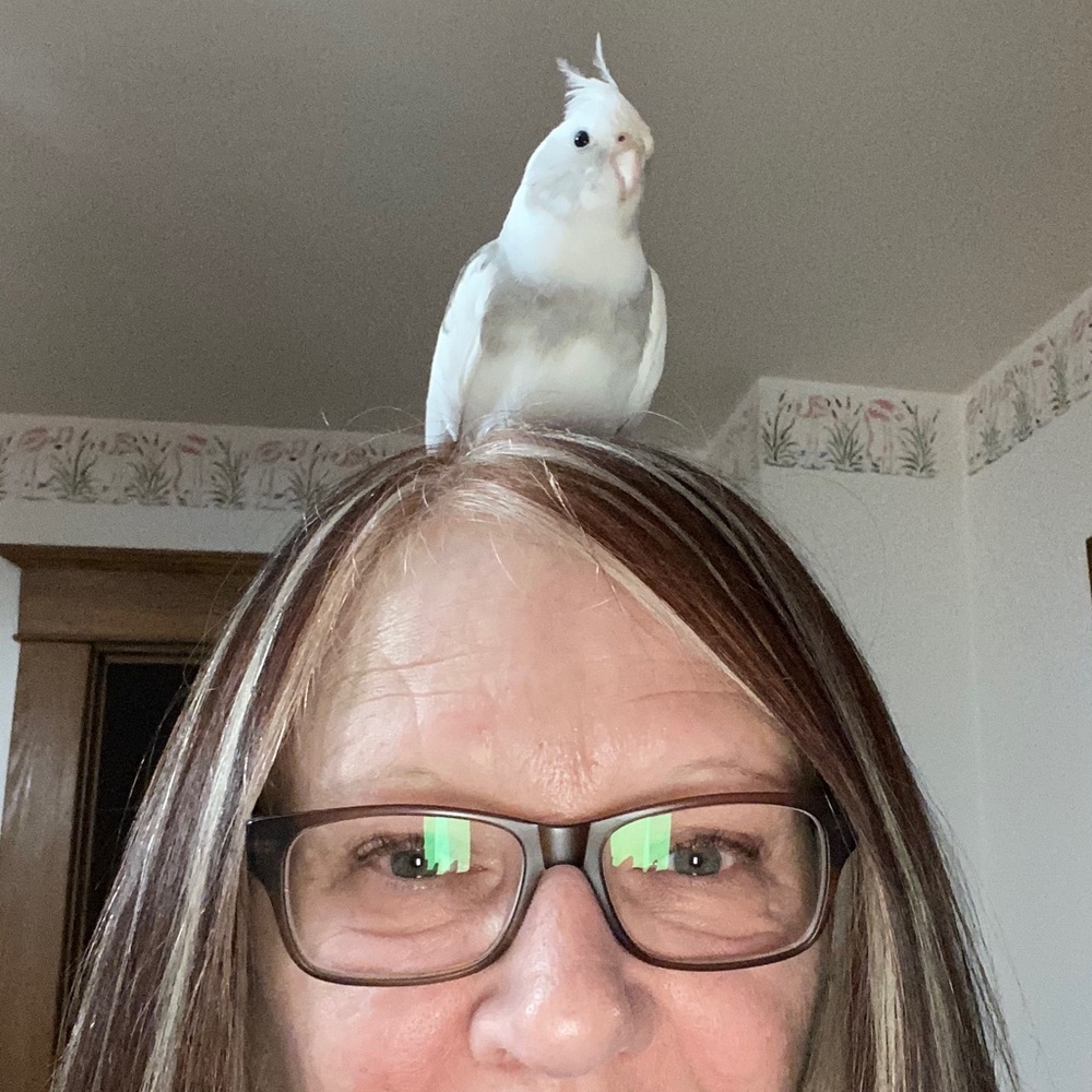 Meet your Posher, Sandy